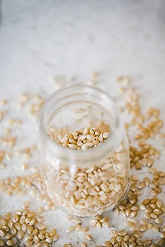 Amish Country Popcorn | 14 oz Bottle | Medium White Popcorn Kernels | Old Fashioned, Non-GMO and Gluten Free (14 oz Bottle)