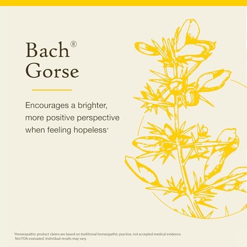 Bach Original Flower Remedies, Gorse (Non-Alcohol Formula) - Have Hope - Natural Homeopathic Flower Essence for Emotional Balance - Vegan, Gluten Free, Sugar Free - 10mL Dropper