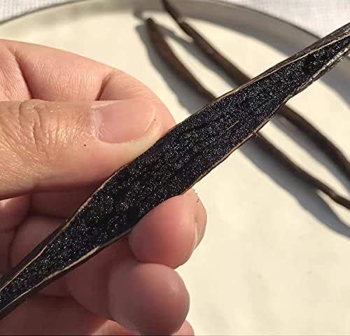 Madagascar Vanilla Beans 5 Count Grade A Gourmet Vanilla Pods 5-7" Great for Baking (Pack of 1)