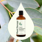 Plant Therapy Organic Eucalyptus Globulus Essential Oils 100 mL (3.3 oz), 100% Pure, USDA Certified Organic, Undiluted, Natural Aromatherapy for Respiratory Support & Focus