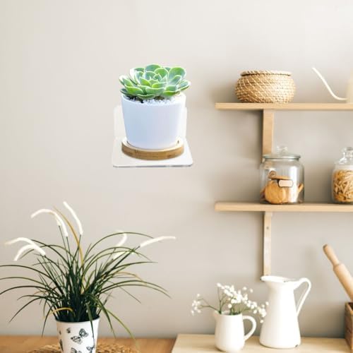 Adhesive Acrylic Wall Planter Stand 3pcs, Small Floating Plant Shelf for Indoor Window Flowerpot Display and Bonsai Storage Rack
