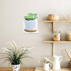 Adhesive Acrylic Wall Planter Stand 3pcs, Small Floating Plant Shelf for Indoor Window Flowerpot Display and Bonsai Storage Rack