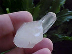 B9421 Gemqz Clear Quartz Mini Cluster