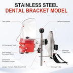 4E 4E'S USA Dental Manikin Simulator Phantom Head (28 Teeth)：Dental Mannequin Head with Detachable Teeth, 180-Degree Rotatable, Height Adjustable, Bandage Installation