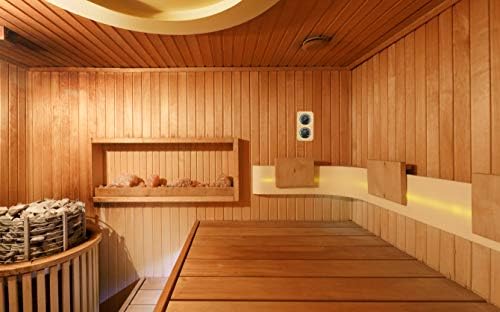 TFA Dostmann Sauna Thermo-Hygrometer Hair Synthetic 40.1004 Heat Resistant Solid Wood L 131 x W 34 x H 240 mm Black Wood