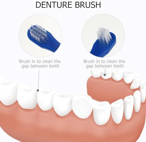 Beavorty 2pcs Two-Sided Brush Cleaning Brush Toothes Tooth for False False Cleaning Tablets Set Both Sides Travel
