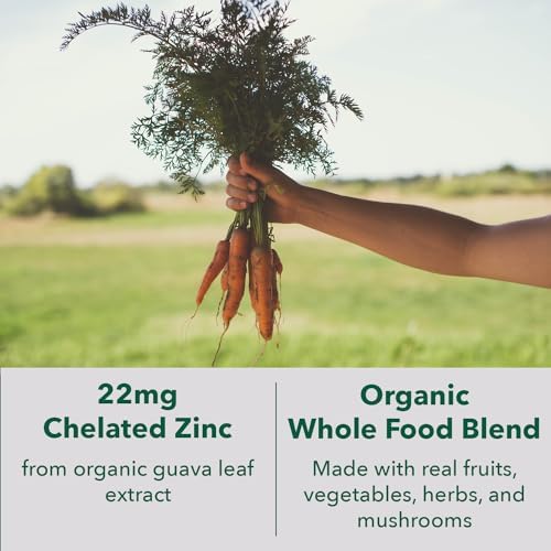 PlantFusion Vegan Zinc Supplements 22 mg – Wholefood Complex, Chelated Zinc Citrate from Organic Guava Leaf for Immune Support, 60 Capsules
