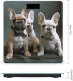French Bulldog Puppies Bathroom Scale for Body Weight Bathroom Weighing Scale with Backlit LCD Display Highly Accurate Measures Weight Up to 180kg