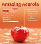 Certified Organic Vitamin C Supplement - Whole Food Acerola Vitamin C Immune Support Supplement for Seasonal Wellness with Naturally Occurring Bioflavonoids Polyphenols & Cofactors (1 Month Supply)