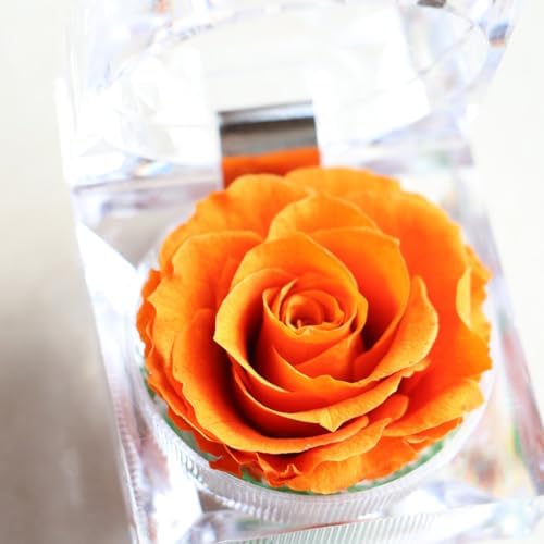 BESTonZON 1Pcs Preserved Eternity Rose Never Withered Rose for Valentines Day Birthday and Anniversary with Drawer Box (Orange)