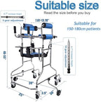 Adult Standing Walker for Seniors Hemiplegia Rehabilitation Standing Frame, Anti Recline, Lower Limb Training, Adjustable Height, Walker Aid for The Disabled, Suitable for People of 58-71 in