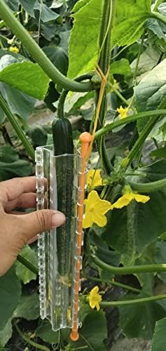 Star and Heart Shaped Cucumber Mold Kit For Growing Cucumber 2 pieces Total (one each)