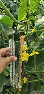 Star and Heart Shaped Cucumber Mold Kit For Growing Cucumber 2 pieces Total (one each)