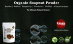 Organic Soapnut Powder (Reetha Powder) 16oz - Natural Organic Laundry Detergent - Multi-Use Hair, Skin & Household Cleanser - Plant-Based Cleanser, Shampoo & Conditioner by Iyasa Holistics
