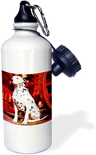 3dRose Dalmatian Sports Water Bottle, 21 oz, White