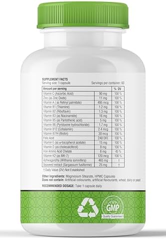 Obel Daily Multivitamin with Ashwagandha & Seaweed | Stress Relief + Energy + Thyroid Support | Complete Vitamins & Minerals | 60 Capsules (30 Day Supply)