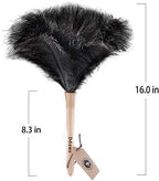Feather Duster, Ostrich Feather Duster Ddzmz Fluffy Natural Genuine Ostrich Feathers and Reusable Wooden Long Handle Large Ostrich Feather Duster Cleaning for Housewife Black Length 16" 1Pack