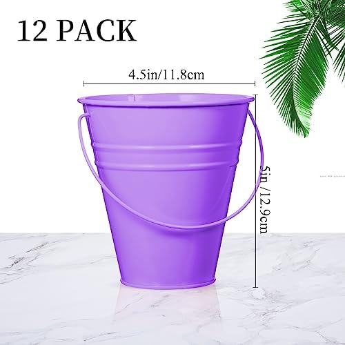 Sadnyy 12 Pack Metal Buckets with Handle, Galvanized Bucket 4.5 x 5 Inch Basket Bucket Party Supplies, Crafts for Christmas Halloween Candy Bars Vase Crafts(Rainbow Color)