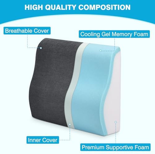 TANYOO Back Support Pillow for Recliner Dual Layer Lumbar Support Pillow with Gel Memory Foam Ergonomic Orthopedic Lumbar Cushions for Elderly Lower Back Pain Relief Washable Cover Dark Grey
