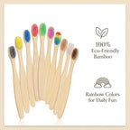 Premium Bamboo Kids Toothbrushes - 10 Color Value Pack, BPA Free Ultra Soft Bristles, Eco-Friendly Biodegradable Compostable Manual Toothbrush for Toddlers and Young Children
