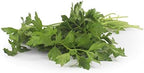 Organic Italian Parsley, 1 Bunch