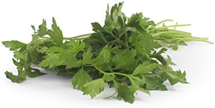 Organic Italian Parsley, 1 Bunch