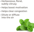 Plant Therapy Bergamot Mint Essential Oil 10 mL (1/3 oz) 100% Pure, Undiluted, Calming Aromatherapy, Congestion Relief, and Immune Support