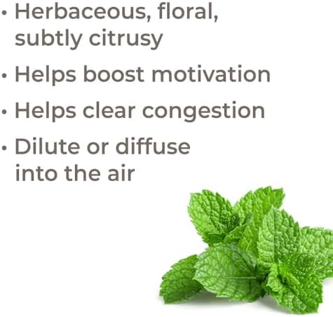 Plant Therapy Bergamot Mint Essential Oil 10 mL (1/3 oz) 100% Pure, Undiluted, Calming Aromatherapy, Congestion Relief, and Immune Support