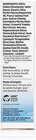 Weleda Natural Salt Toothpaste. 2.5 Fluid Ounce (Pack of 3)