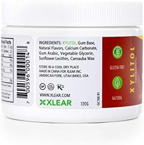Spry Fresh Natural Xylitol Chewing Gum Dental Defense System - Aspartame-Free, Sugar-Free, Non-GMO, Gluten-Free (Cinnamon, 100 Count - Pack of 1)