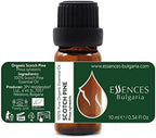 Organic Scotch Pine Essential Oil 1/3 Fl Oz (10ml) Pinus Sylvestris - 100% Pure Natural and Undiluted Therapeutic Grade for Aromatherapy Diffuser Humidifier Skin Care DIY Cosmetics