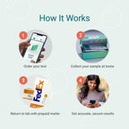 empowerDX Vitamin B12 + Folate Test - At-Home Test Kit - Results Within 2 Days