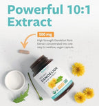 USDA Organic Dandelion Root Extract - High Potency 10:1 Dandelion Root Supplement with 5000mg Herbal Equivalent Strength for Liver Cleanse Detox & Repair Support - Vegan & Non-GMO (4 Month Supply)