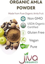 Organic Amla Powder 1.25 LB (20oz) - Pure, Lab Tested, Gluten Free, Non-GMO, Pure Amalaki Powder From India, Vitamin C, Bulk Bag, 100% Raw & Natural - by Jiva Organics