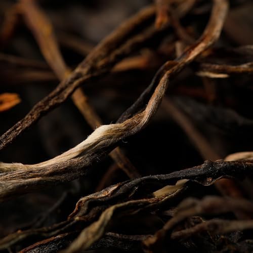 Yunnan Pu-erh Raw Tea Cake, 100g × 5 Pcs | Yiwu Ancient Tree | Hand-Pressed | Aged & Collectible | Premium Tea Gift Set | 易武古树茶