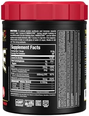 ALLMAX AMINOCORE BCAA Powder for Workout Muscle Recovery & Increased Endurance - Sugar Free, No Fillers 8.18 Grams Bcaas Amino Acids, B Vitamins for Women and Men- 90 Servings | Fruit Punch, 1035g
