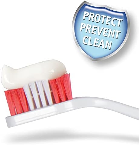 Beaphar Toothbrush and Toothpaste Kit, 100g, 2 Count (Pack of 1) (15303)