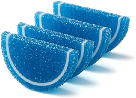 NY Spice Shop Blue Raspberry Fruit Slices Candy - 1 Pound Citrus Chewy Fruit Slices Jelly Candy - Old Fashioned Jelly Fruits Bulk Candies - Gummies Fruits Snacks for Holiday Snacking & Gifting
