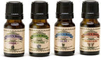 Witch's Brew Witch's Purse Oil