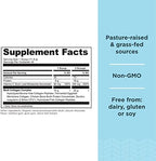 Ancient Nutrition Hydrolyzed Collagen Peptides Powder with Probiotics, Chocolate Multi Collagen Protein for Women and Men with Vitamin C, 40 Servings, Supports Skin and Nails, Gut Health, 16.65oz