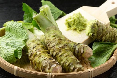 Japan Made Authentic Wasabi Paste from 85% Real Wasabi 2.82oz - Ideal for Sushi, Sashimi and Grilled Meat and Fish or Mixing with Dressings and Mayonnaise