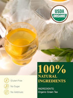 GLDNT Organic Green Tea Bags, Natural Pure Organic Green Tea, Super Antioxidant, Caffeinated, 100 Count