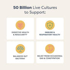 Renew Life Extra Care Digestive Probiotic Capsules, 50 Billion CFU Guaranteed, Daily Supplement Supports Immune, Digestive, Respiratory Health(1), L. Rhamnosus GG, Dairy, Soy and Gluten-Free, 60 Count