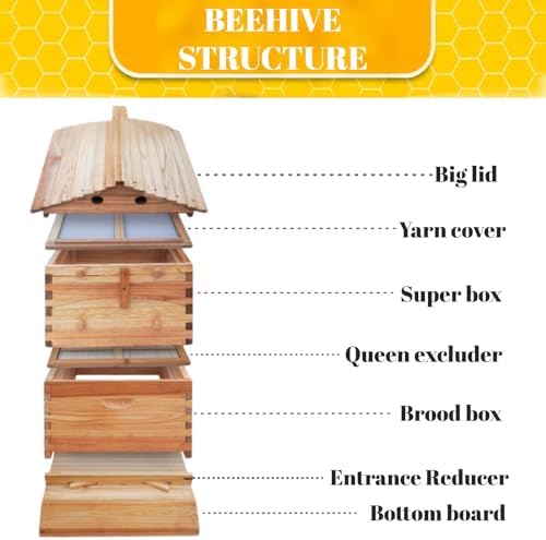 Bee Hive Starter Kit – Automatic Beehive Box Set for Easy Beekeeping, Complete Bee Hive Boxes for Beginners