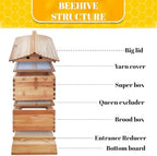 Bee Hive Starter Kit – Automatic Beehive Box Set for Easy Beekeeping, Complete Bee Hive Boxes for Beginners
