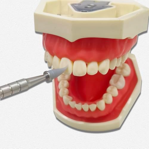 Dental Resin Brush Pens Stainless Steel Handle Shaping Silicone Soft Head Adhesive Tools for Porcelain Teeth Composite Cement