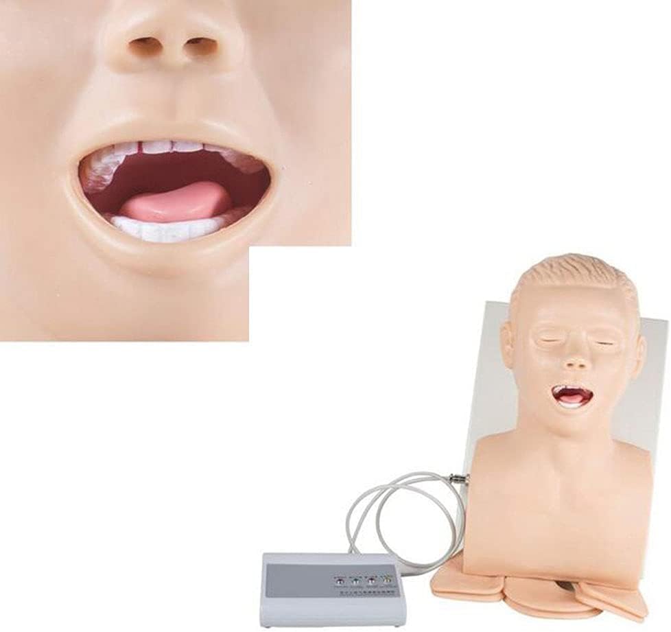 CHROX PVC Human Electronic Tracheal Intubation Training Model, Intubation Manikin Teach Model Oral Nasal Demo Airway Management Teaching Simulator