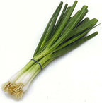 Green Onions (Scallions), One Bunch