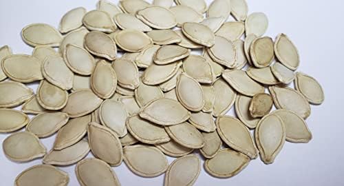 “Winter Spaghetti” Squash Seeds – Seeds for Classic Spaghetti Squash with a Mild Flavor | Never GMO, Always Heirloom and Open-Pollinated | USA Grown Seeds by Liliana's Garden |