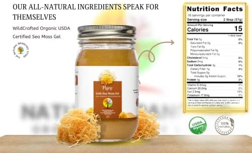 Organic & Pure Golden Sea Moss Gel from Saint Lucia16oz - USDA Certified Organic & Made in The USA - All Natural & Wildcrafted Seamoss Gel - Daily Multi-Vitamin